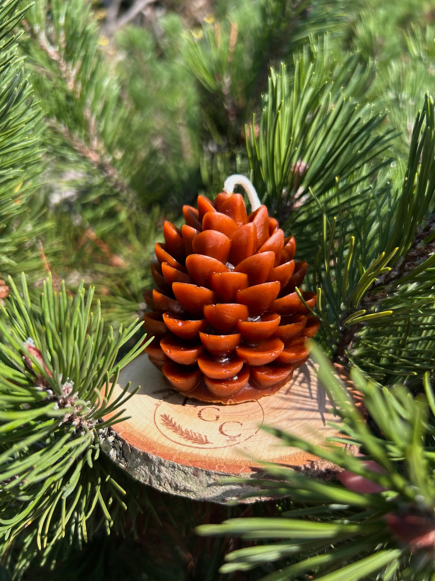 Autumn Pinecone Candle