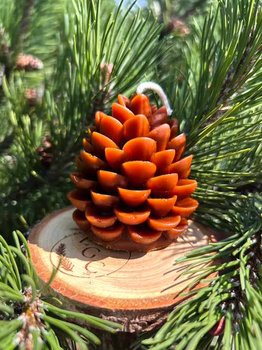 Autumn Pinecone Candle